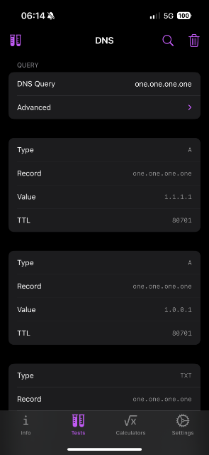 screenshot of the dns lookup section of the app